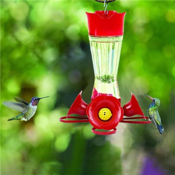 2 Glass Hummingbird Feeders for Outdoors with Perches, Ant Moat, Bee Guards - Picture 2 of 7